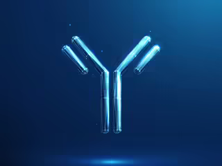 3-dimensional model of an antibody