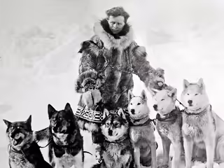 Historical photography, black and white. Leonhard Seppala with six of his sled dogs. From left to right - Togo, Karinsky, Jafet, Pete, unknown dog, Fritz.