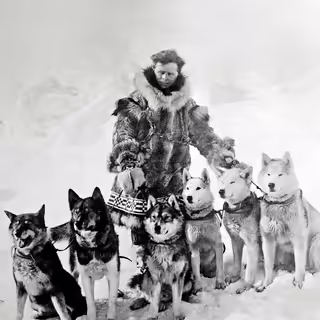 Historical photography, black and white. Leonhard Seppala with six of his sled dogs. From left to right - Togo, Karinsky, Jafet, Pete, unknown dog, Fritz.