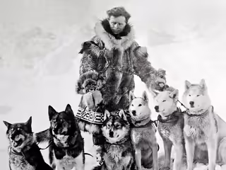 Historical photography, black and white. Leonhard Seppala with six of his sled dogs. From left to right - Togo, Karinsky, Jafet, Pete, unknown dog, Fritz.