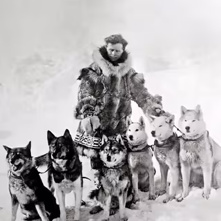 Historical photography, black and white. Leonhard Seppala with six of his sled dogs. From left to right - Togo, Karinsky, Jafet, Pete, unknown dog, Fritz.